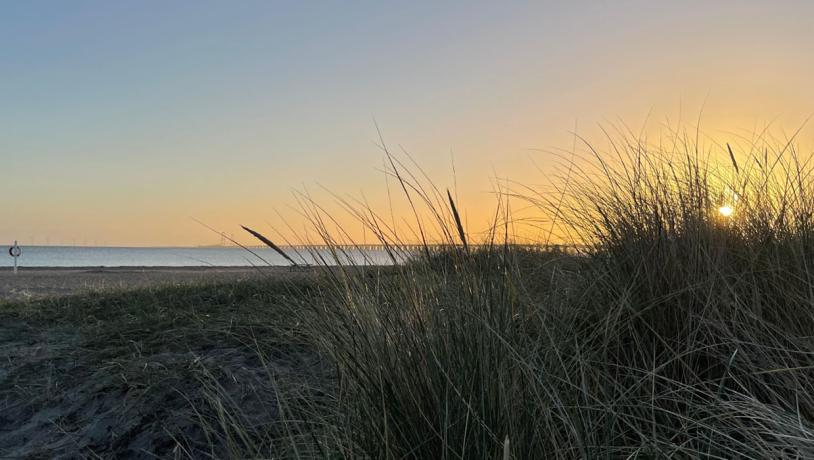 Fyns Badestrand er en af de bedste strande, som man finder på Fyn. Rent på land og i vand , og med en smuk udsigt til Storebælt. 