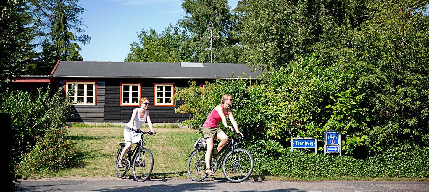 Nyborg Fyn Danmark Sommerhus Cyklister