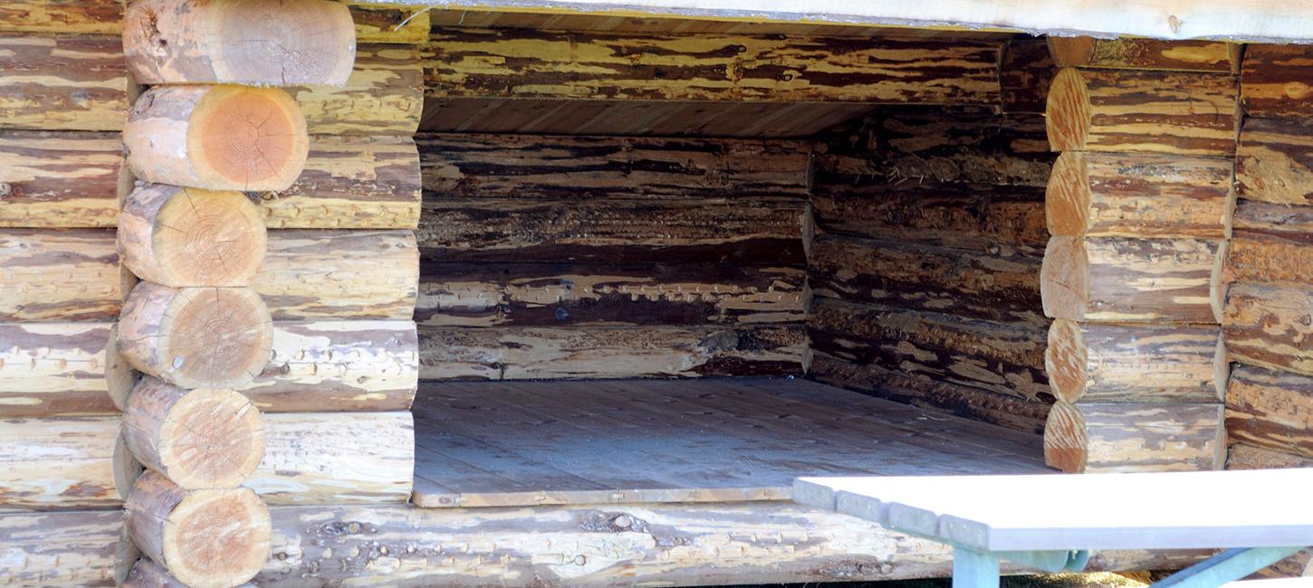 Nyborg Fyn Danmark Shelter