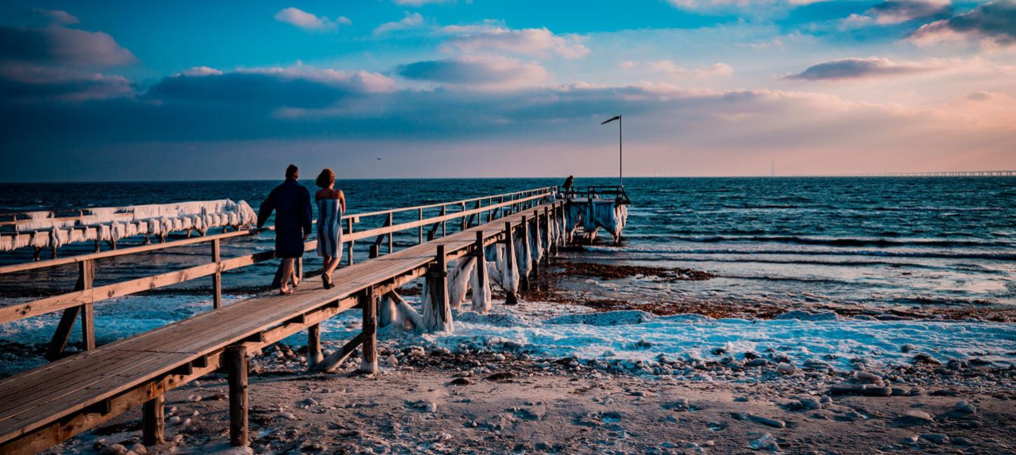 Nybog Fyn Danmark Efterår Vinterbadning