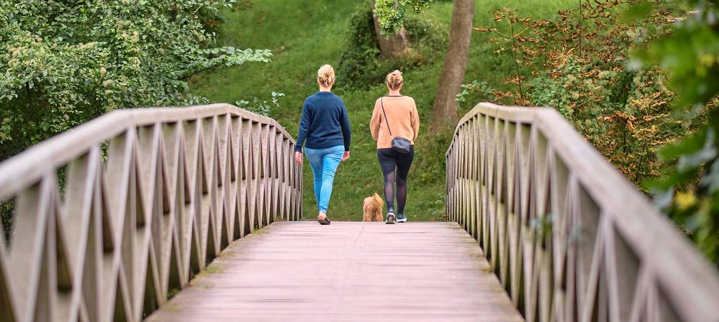 Lokale veninder går tur ved Ladegårdsskoven tæt på Nyborg Slot