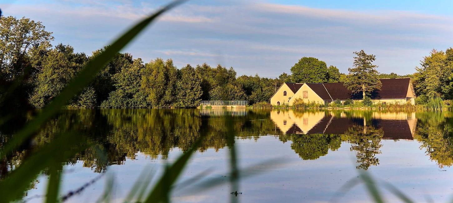 Kongshøj Mølle spejler i søen i Øksendrup Sogn i Nyborg, Fyn