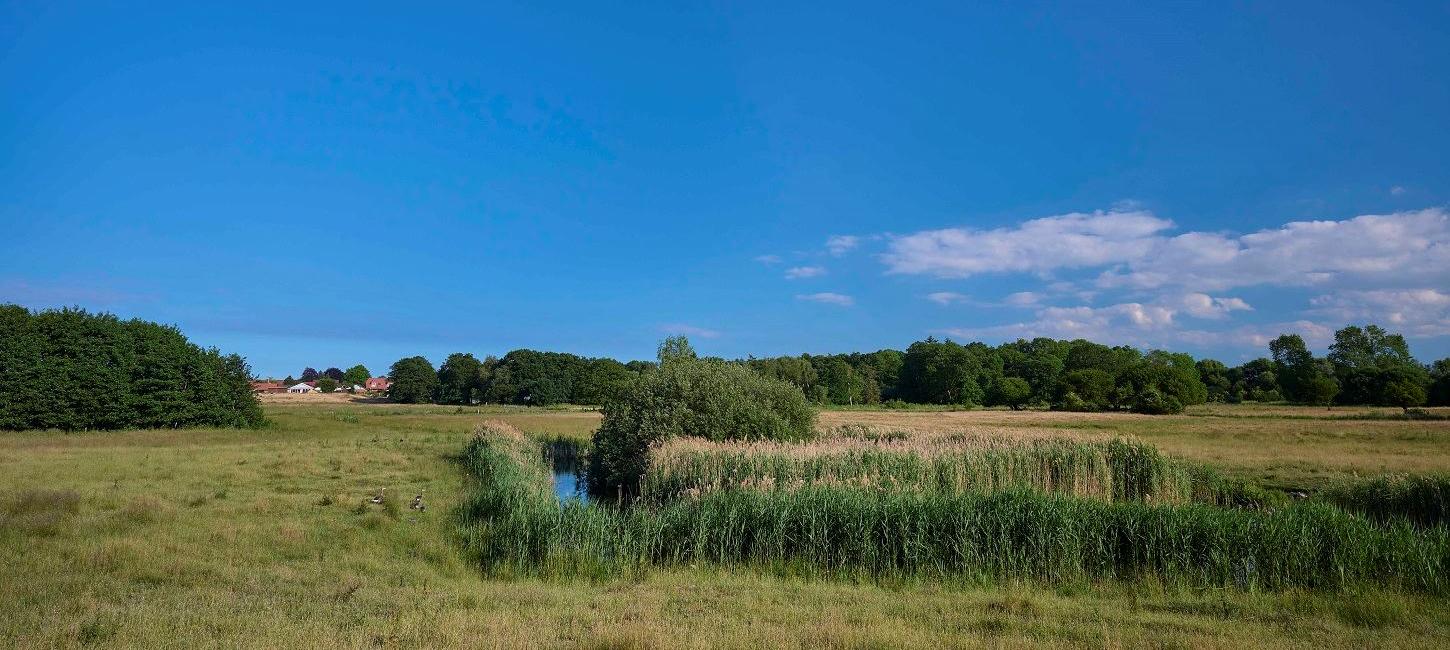 Gå en tur rundt om Bondemosen i Ullerslev ved Nyborg, Fyn