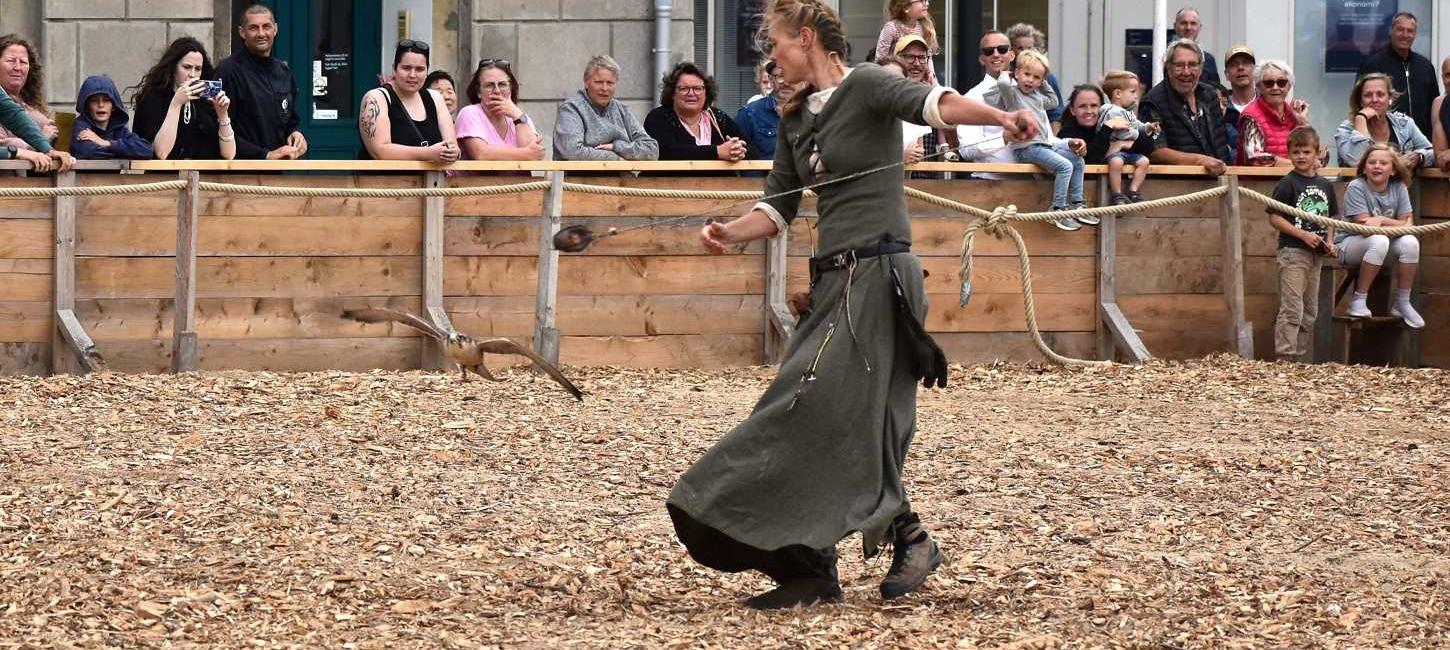 Imponerende falkonershow til Danehof 2025