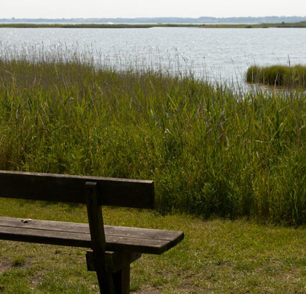 Bæredygtig ferie kan være mange ting, såsom vandre- eller cykelture. Naturen og kulturen kan sagtens kombineres. 