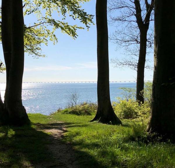 Langs Teglværksskoven ligger også stranden med en smuk udsigt til Storebælt.