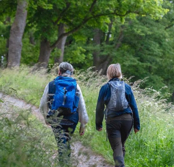 To veninder går tur på volden ved Nyborg Slot