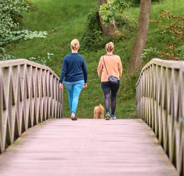 Lokale veninder går tur ved Ladegårdsskoven tæt på Nyborg Slot