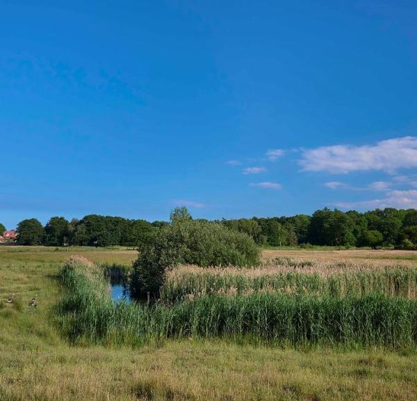 Gå en tur rundt om Bondemosen i Ullerslev ved Nyborg, Fyn