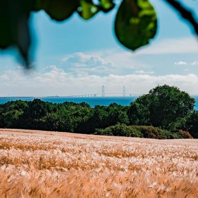 Nyborg Fyn Danmark Storebæltsbroen Mark