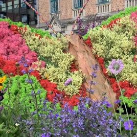 Blomsterudsmykning på Torvet med sommerfugle og biodiversitet