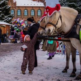 Barn klapper lige hesten til julemarkedet i den gamle kongeby Nyborg