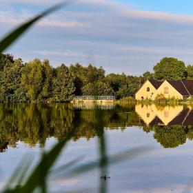 Kongshøj Mølle spejler i søen i Øksendrup Sogn i Nyborg, Fyn