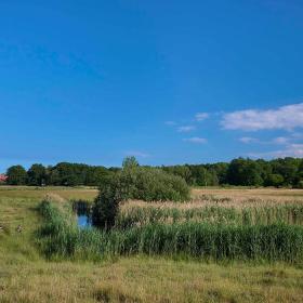 Gå en tur rundt om Bondemosen i Ullerslev ved Nyborg, Fyn