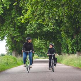 Tag cyklen forbi Ravnholt Gods og nyd kastanjealléen i Herrested Måre sogn i Nyborg, Fyn