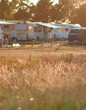 Fyn Nyborg Danmark Camping 