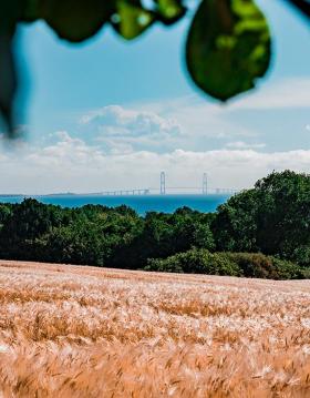 Nyborg Fyn Danmark Storebæltsbroen Mark