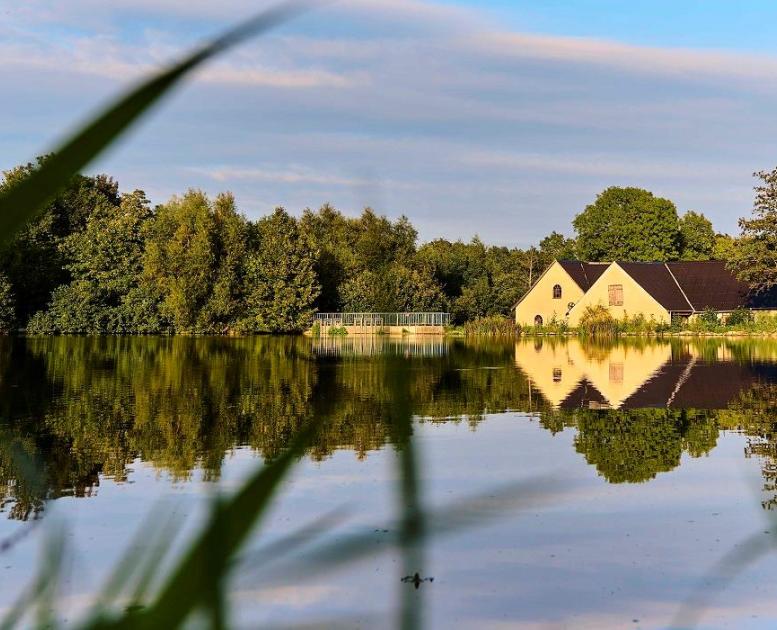 Kongshøj Mølle spejler i søen i Øksendrup Sogn i Nyborg, Fyn